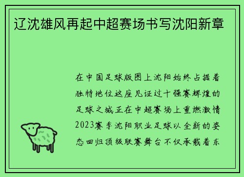 辽沈雄风再起中超赛场书写沈阳新章