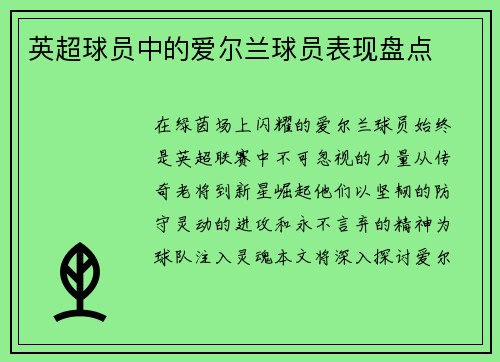 英超球员中的爱尔兰球员表现盘点