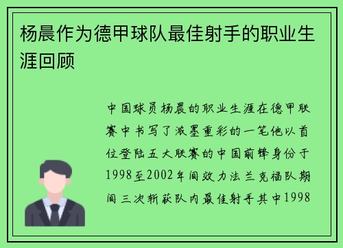 杨晨作为德甲球队最佳射手的职业生涯回顾
